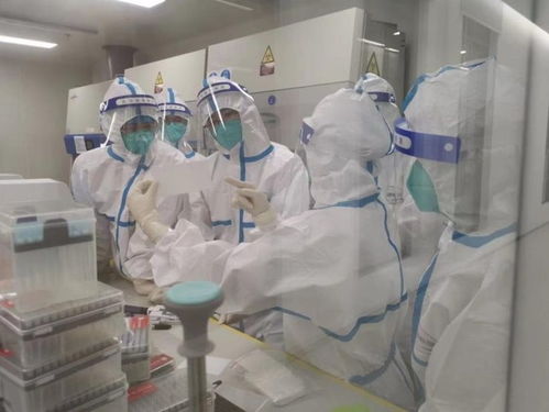 7家企业成功研发新冠病毒抗原检测相关产品,坪山生物医药产业助力全球科技抗疫