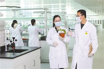 中国农业大学新闻网 媒体农大/科技之窗 我国科研人员研制新型基因编辑工具 让作物育种更精准高效