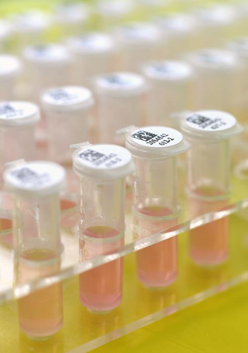 武汉康录生物技术股份研发的7个新冠病毒核酸检测产品获得